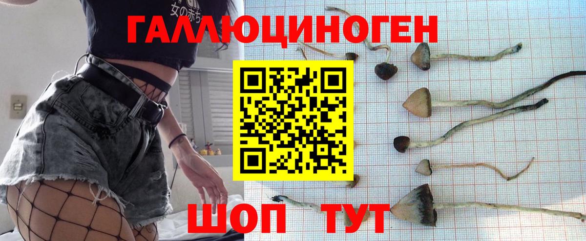 Псилоцибиновые грибы мухоморы Дедовск