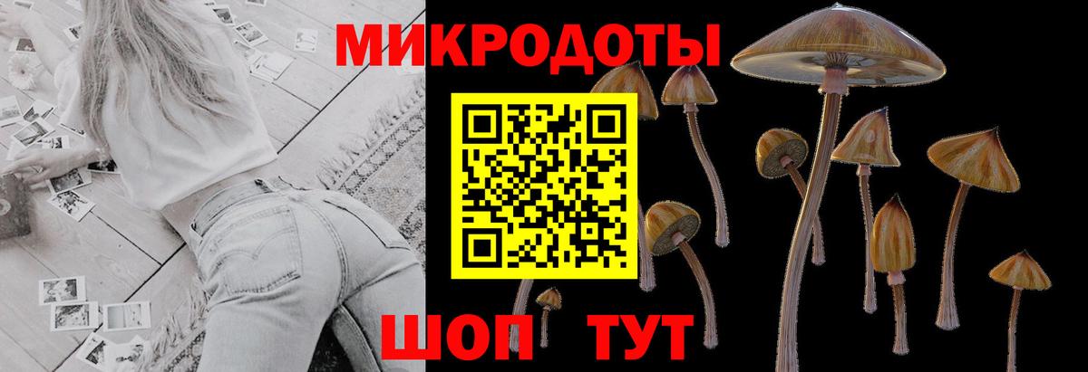 наркотики  Галлюциногенные грибы прущие грибы  Псилоцибиновые грибы Magic Shrooms  Вход с VPN  Дедовск 